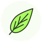 Pure Ingredients        100% NaturalTea Leaf